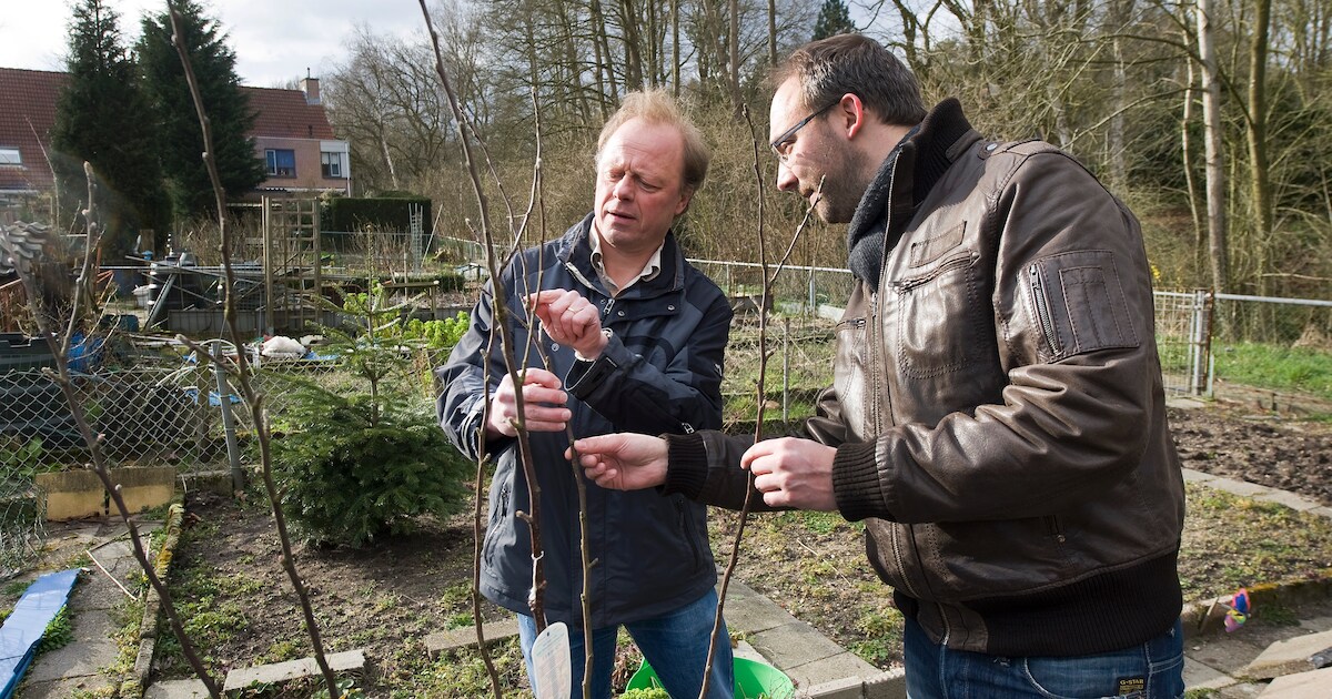 Volkstuintjes Heveadorp voortaan in eigen beheer