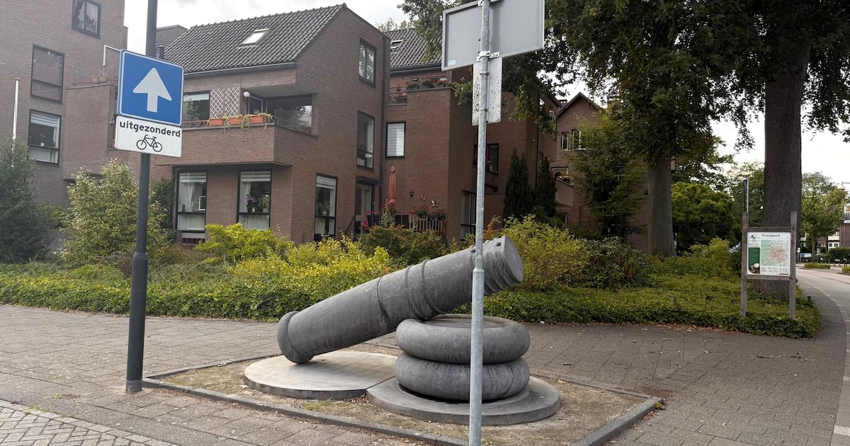 Mysterie: wat stellen deze vijf beelden aan de rand van het centrum van Apeldoorn voor?