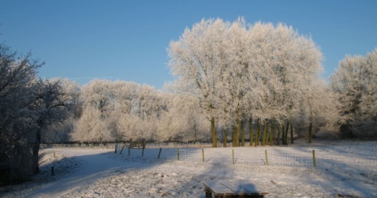 Winterwandeling in op landgoed Waardenburg Neerijnen