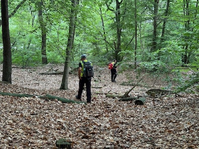 Op Noord-Veluwe vermiste man uit Wezep terecht: ‘Gevonden door alert groepje wielrenners’
