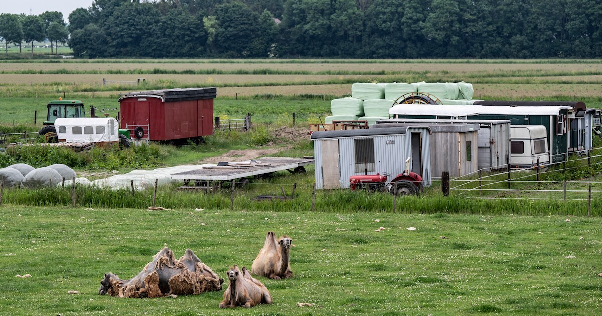 Bert’s Animal Verhuur liet alles zoals het was: West Maas en Waal stuurt boete van 130.000 euro