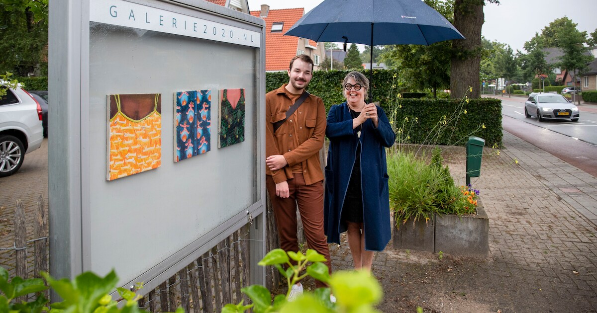 Misschien wel de kleinste galerie van Nederland staat in Otterlo en ...
