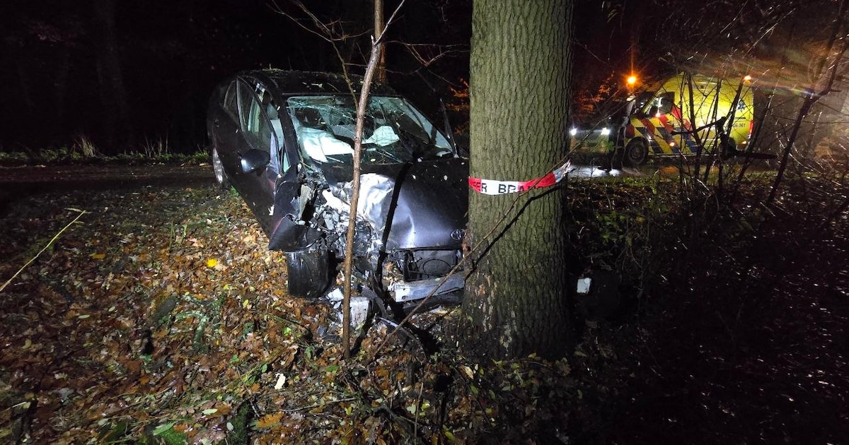 Man rijdt frontaal tegen boom in Vorden en komt er vanaf met kniepijn