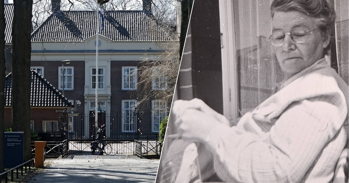 Het oorlogsverhaal van zijn oma pakt Edo (63). Hij snapt niet zo goed waarom. ‘Ze maakte zich grote 