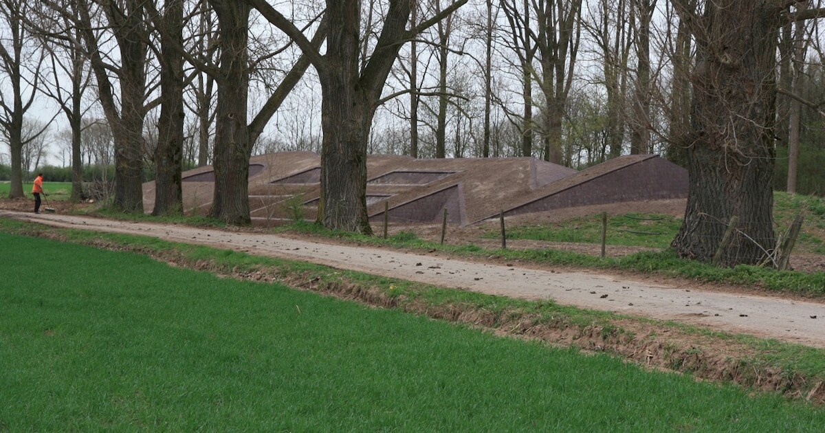Kunsteiland Ooij moet nog groen worden | Nijmegen