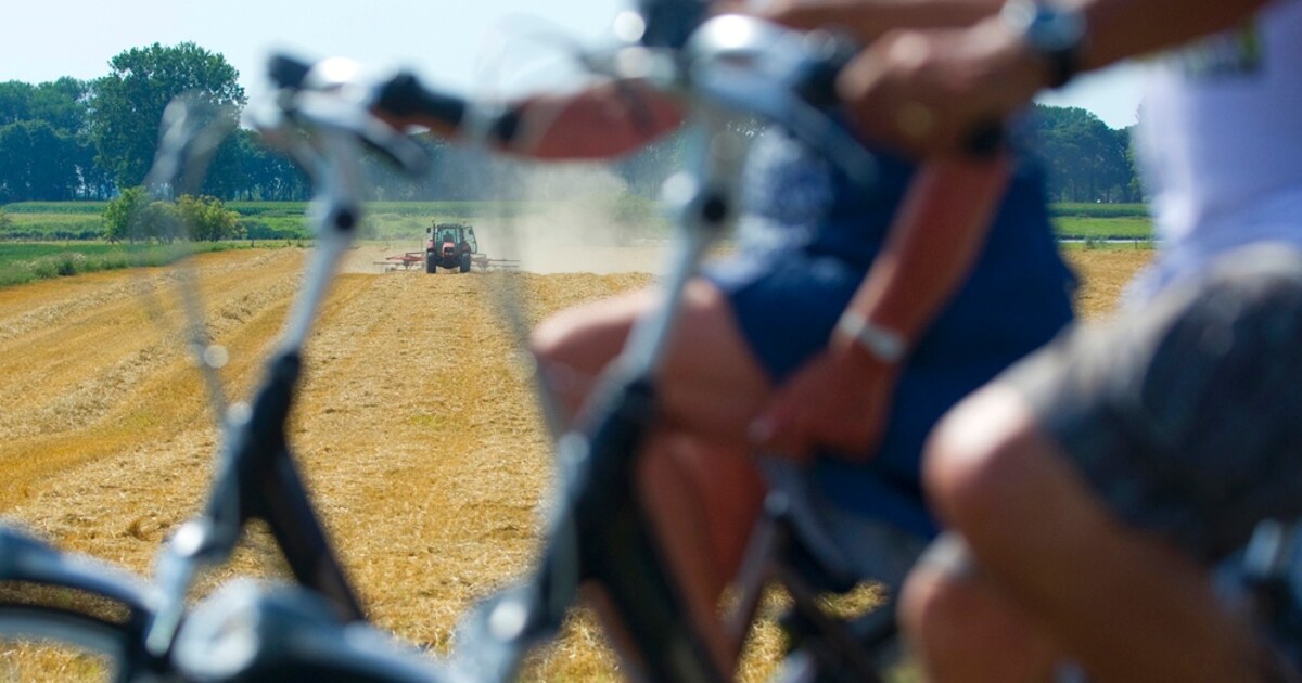 Films over het leven in Maas en Waal
