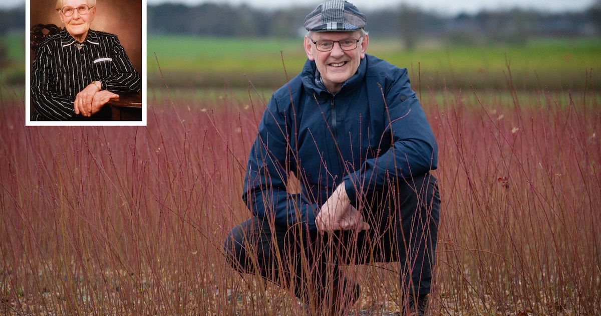 Henk weet het bijna zeker: zijn familie startte als eerste met bomen ...