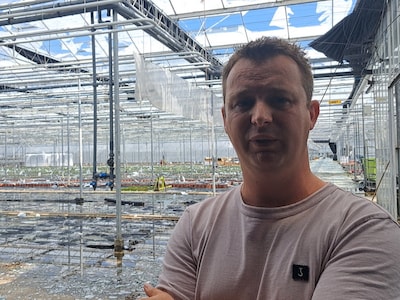 Kwekerijen hebben miljoenenschade aan kassen na enorme hagelbui: ‘Dit is de grootste nachtmerrie’