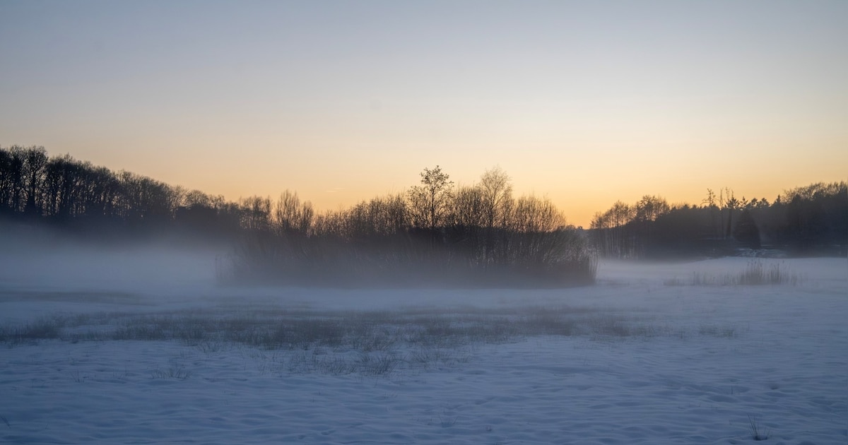 Verkiezingsdebat over Renkumse beekdalen in Renkum