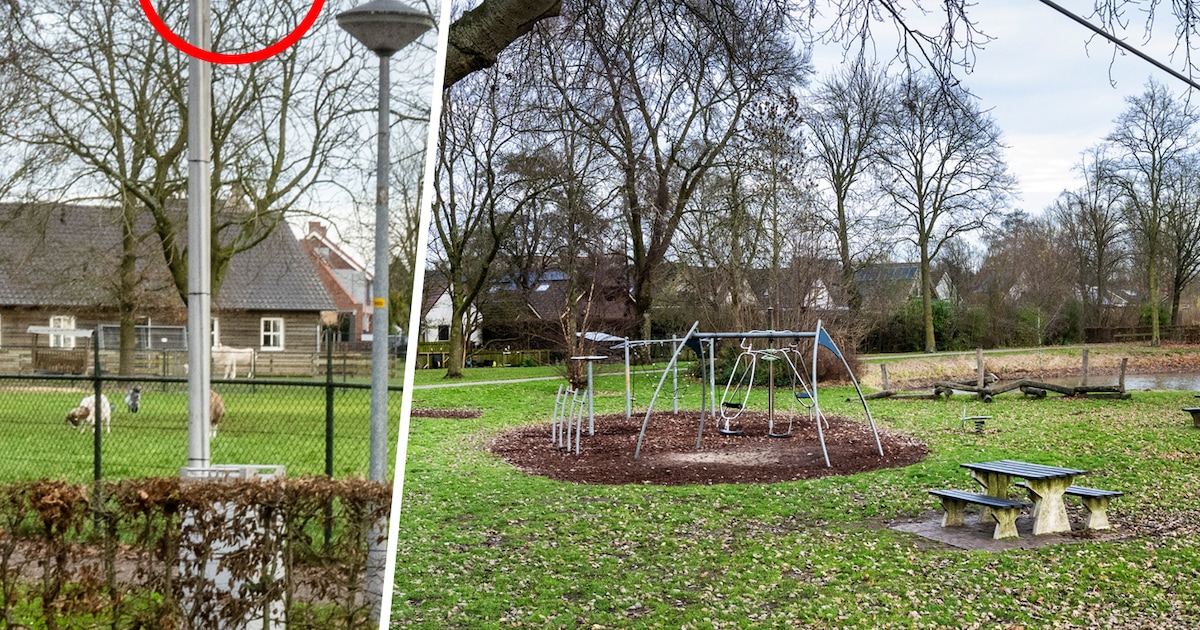 Camera in park bij dierenweide en extra toezicht: jongeren slopen bankjes en gooien met stenen