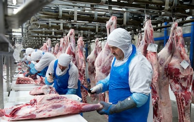Slachterijen mogen na misstanden vanaf 2028 geen uitzendkrachten meer inhuren