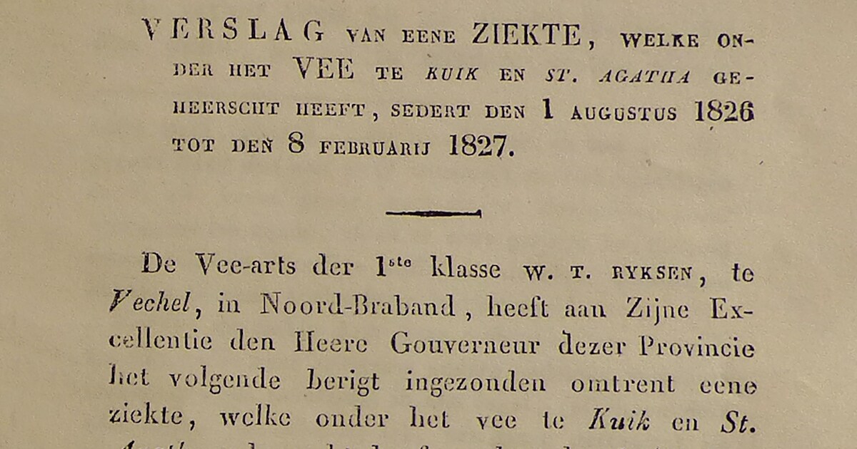 Besmettelijke ziekte onder het vee slaat hard toe in Sint Agatha ...