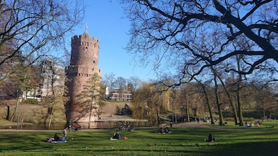 Hittealarm! Op deze kaart vind je de koelste plekjes in Nijmegen