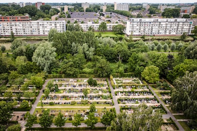 Begraafplaats verplaatste 21 lichamen in het geheim: nu weet niemand wie het waren