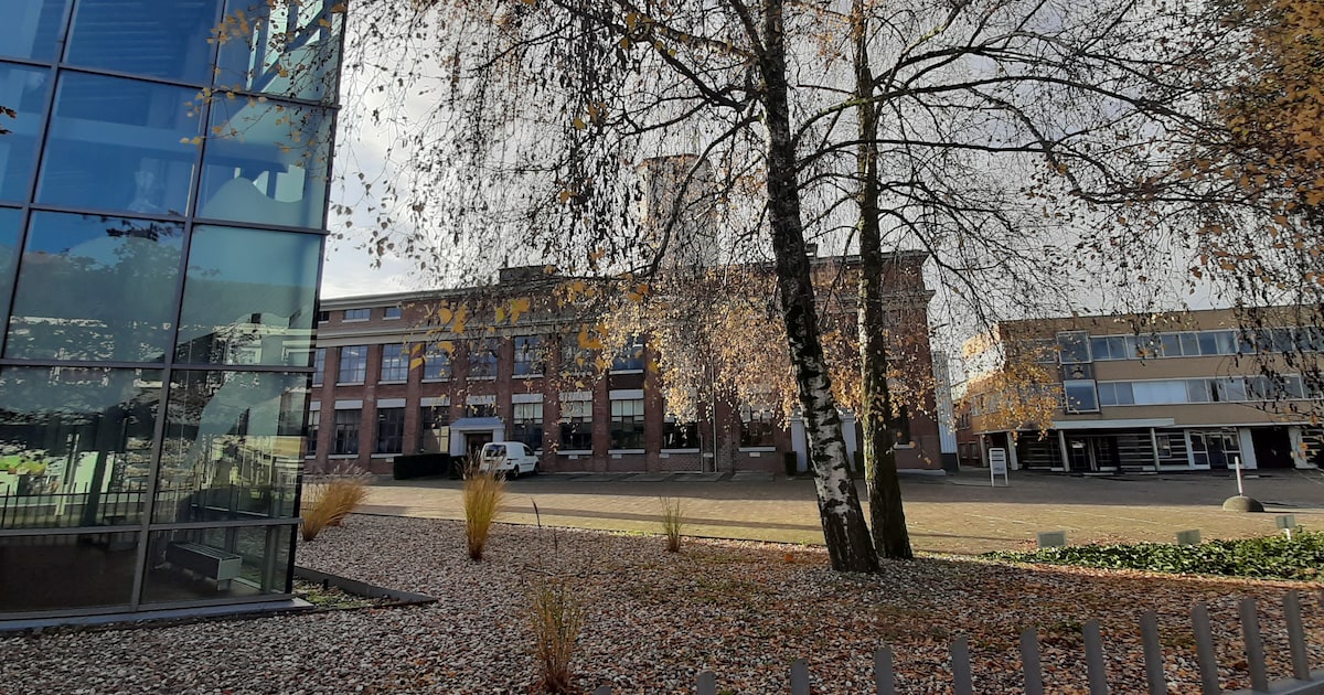 Gemeente Oost Gelre verduidelijkt vergunning leerlooierij Vitelco na ...