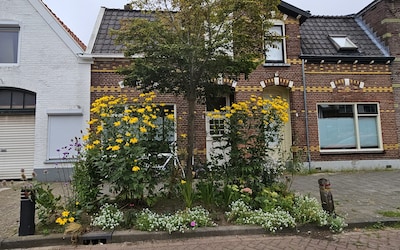 Boom van de gemeente voor de deur? Zo kun je er een voortuintje van maken