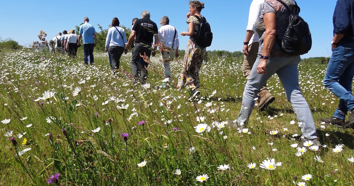 Gratis wandeling in Persingen toont succesvolle verweving van landbouw ...