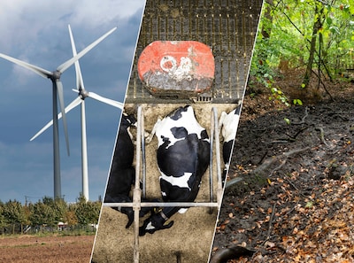 Windmolens, stikstofzones en oude bosgronden: dit legt Gelderland vandaag vast, en hier botst het