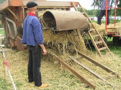 Rogge oogsten bij museum Smedekinck in Zelhem