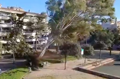 KIJK | Man laat rustig zijn hond uit en krijgt tijdens wandeling de schrik van zijn leven