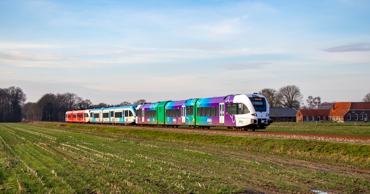 Boom op spoor: geen treinen tussen Zutphen en Winterswijk