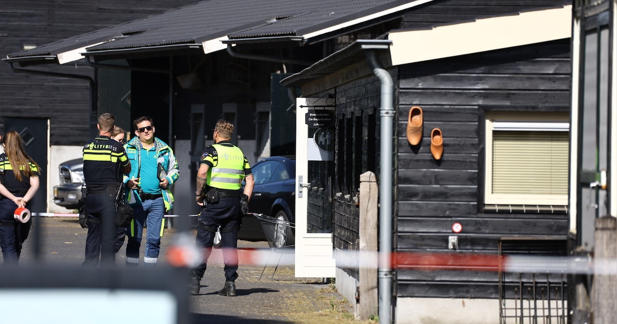 Dode en gewonde bij schietpartij in een B&B