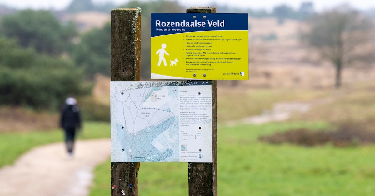 Parkeerplaats Rozendaalse Veld blijft toch open: werkzaamheden opgeschort
