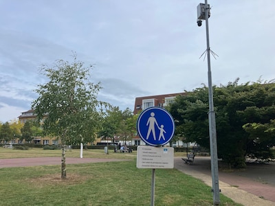 Overlast tijdens oud en nieuw is zo erg dat dit stadspark hermetisch wordt afgesloten: ‘Uit voorzorg