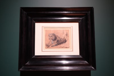 Zelfs een record voor Rembrandt: zeldzame tekening van leeuw levert 15 miljoen dollar op