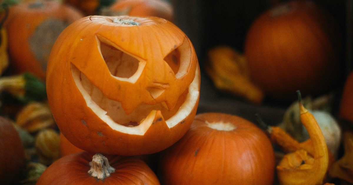 Gorssel krijgt Halloween-spooktocht rond mysterieuze oude kwekerij