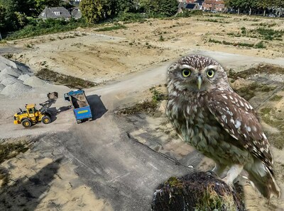 Ede zet eerste stap richting nieuwe woonwijk met dierenverhuizing van 25 tot 30 miljoen euro