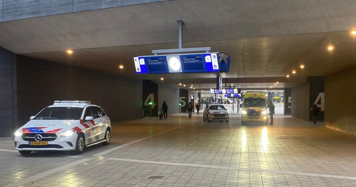 Slachtoffer van mogelijke steekpartij op station is man (34) uit Polen
