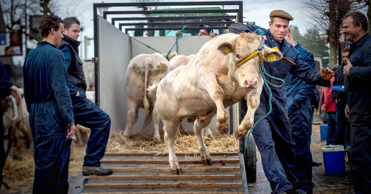 Winnaar Leste Mert vanaf dit jaar vereeuwigd in De Bogerd