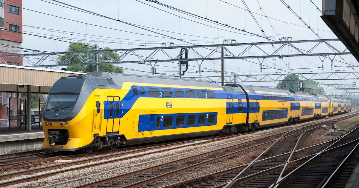 Treinverkeer tussen Tilburg en Den Bosch hervat na urenlange seinstoring