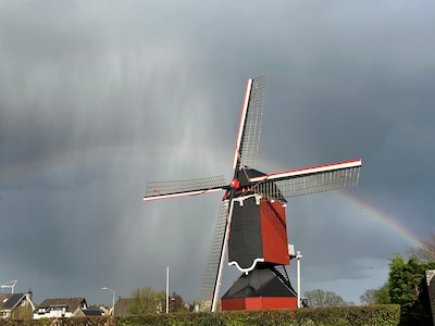 Provincie investeert miljoenen in Brabantse monumenten: bijna twee ton voor molen in Moergestel