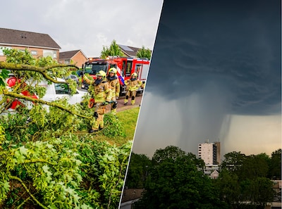 TERUGLEZEN | Schade door omgevallen bomen en afgebroken takken • Geen waarschuwingen meer van kracht