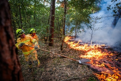 Limburgse brand bedreigt camping van Danny: ‘Dit is je grootste angst als je in een natuurgebied zit’