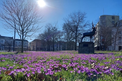 Uittips: dit is er dit weekend te doen in Arnhem (6 - 8 maart)