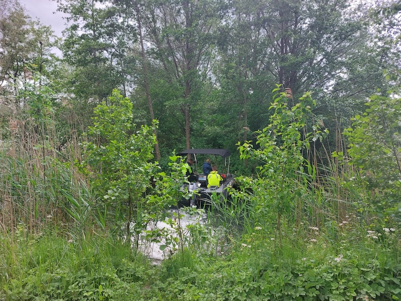 Zoeken op het water van de Rijkerswoerdse Plassen.