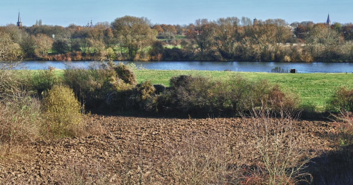 Weijerpark Boxmeer krijgt opfrisbeurt