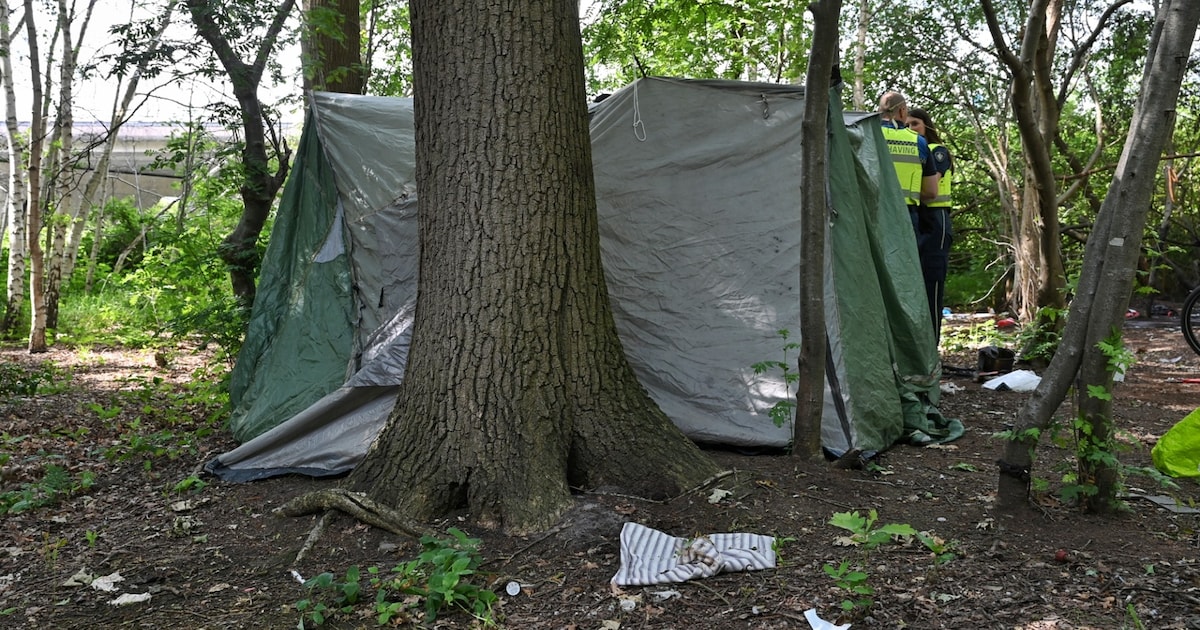 Hulpverleners maken slapende daklozen net op tijd wakker bij oplaaiend kampvuur in bos bij Berkel-En