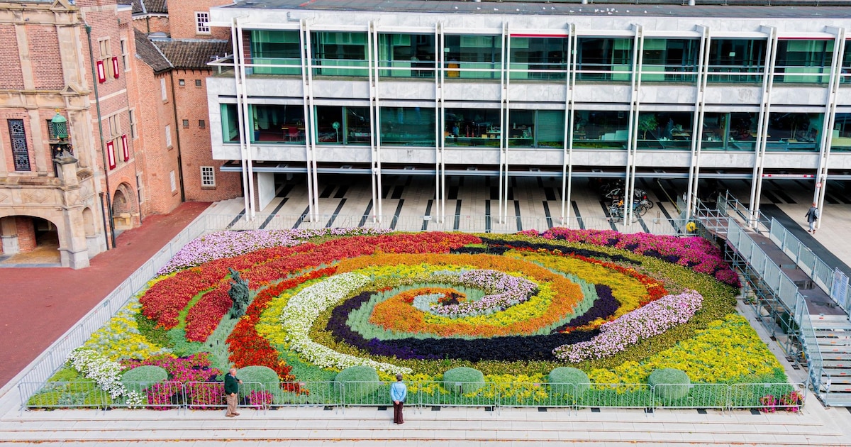 Laatste kans om Sonsbeek 2026 te zien: 32.940 planten uit dit kunstwerk ...
