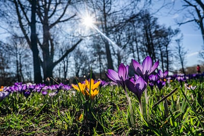 Grote weersverschillen de komende dagen: grijs in het noorden, zonnig en warm in het zuiden