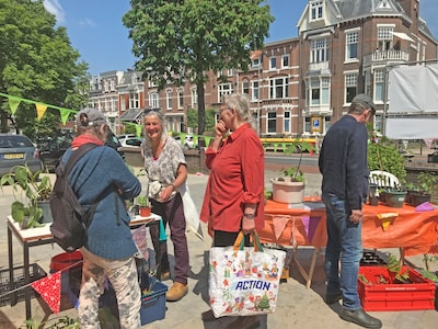 Plantjesmarkt bij Antonius van Paduakerk in Nijmegen