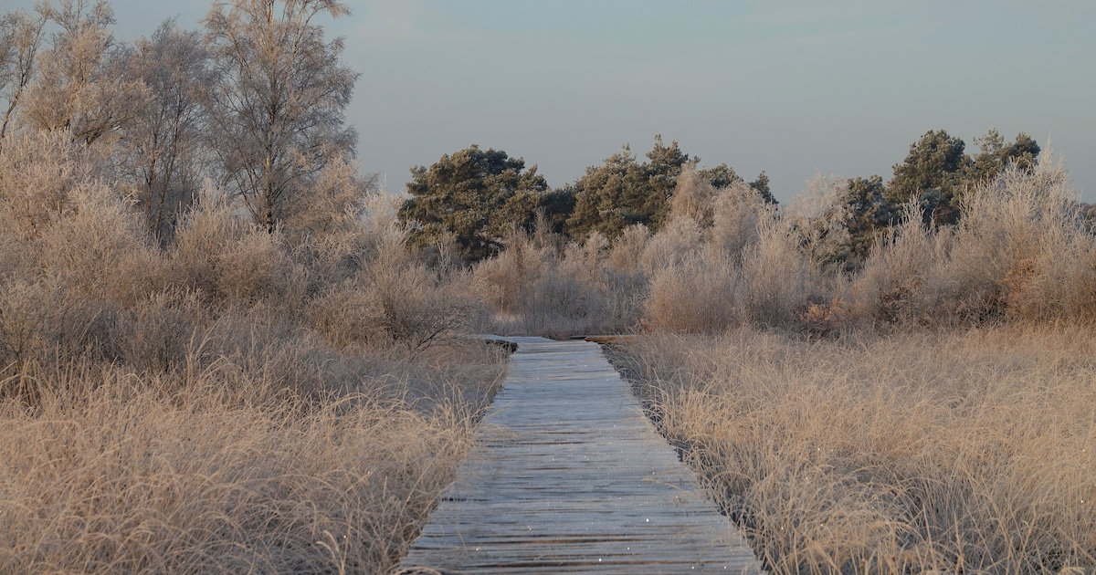 Verken de stilte van De Groote Peel: excursie op 23 november