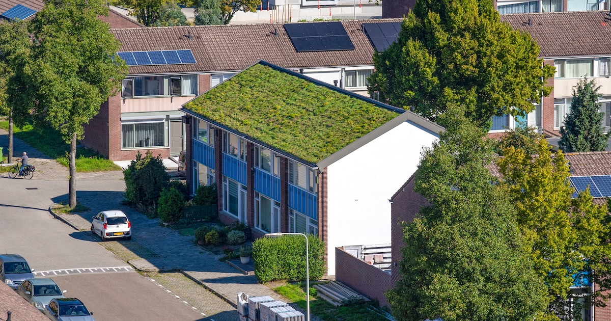 Culemborg biedt subsidie voor 'groenblauw' dak