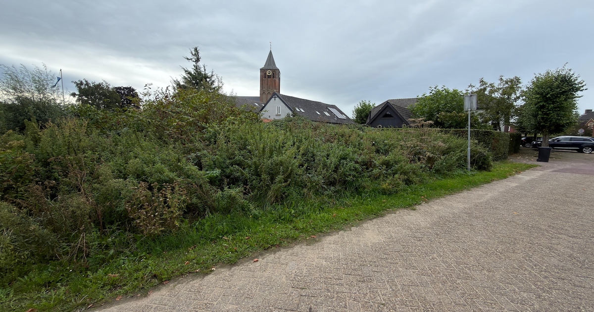 Na dik tien jaar stoeien mag woning in hartje Lienden eindelijk gebouwd worden