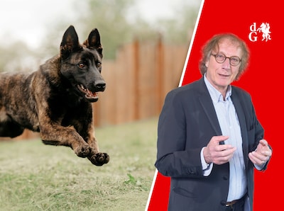 Achter hem striemde een vrouwenstem: ‘Hij doet niks, hoor!’