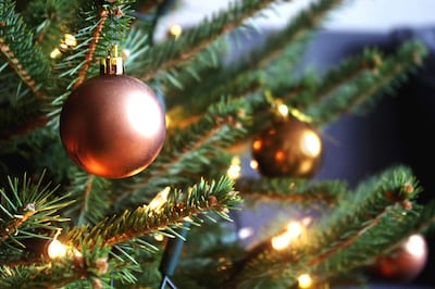 En zo sleepte ik mijn boom door de besneeuwde straten