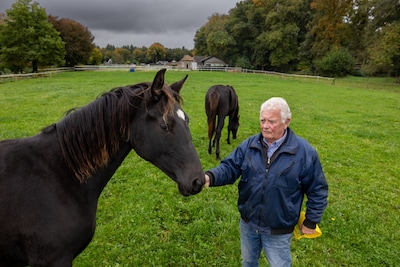 Henk baalt van ‘de zone’ op de Veluwe: ‘Wij moeten bloeden voor de rest van Nederland’